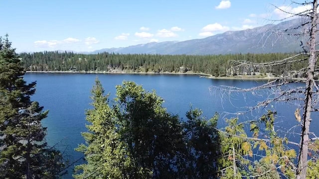 28782 Cedar Bay Ln, Bigfork, MT 59911