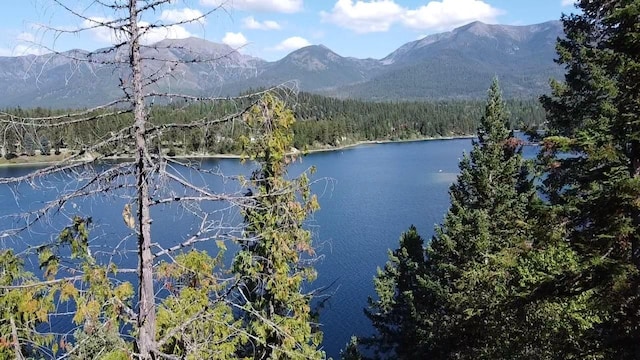 28782 Cedar Bay Ln, Bigfork, MT 59911