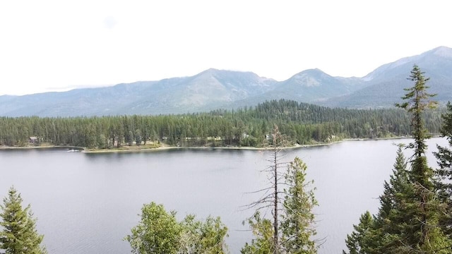 28782 Cedar Bay Ln, Bigfork, MT 59911