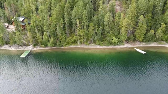 28782 Cedar Bay Ln, Bigfork, MT 59911