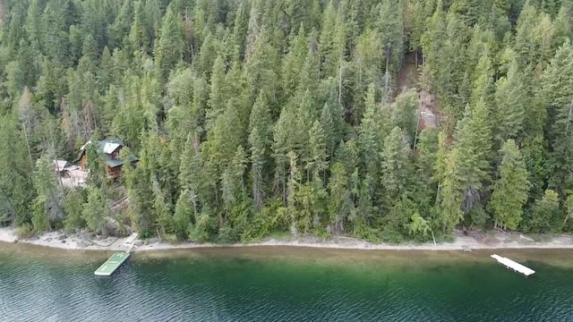28782 Cedar Bay Ln, Bigfork, MT 59911