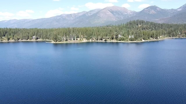 28782 Cedar Bay Ln, Bigfork, MT 59911