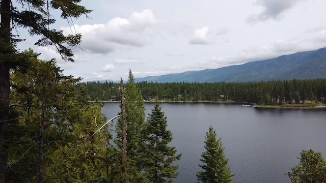 28782 Cedar Bay Ln, Bigfork, MT 59911