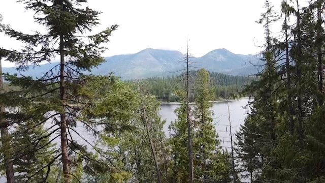 28782 Cedar Bay Ln, Bigfork, MT 59911
