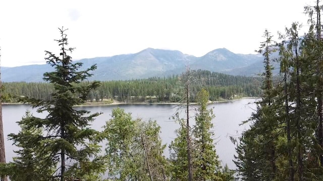 28782 Cedar Bay Ln, Bigfork, MT 59911
