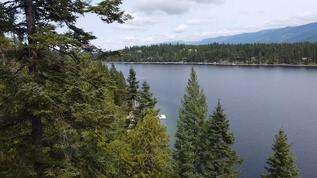 28782 Cedar Bay Ln, Bigfork, MT 59911
