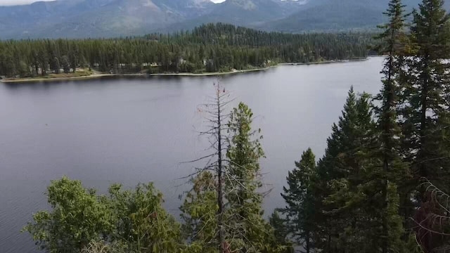 28782 Cedar Bay Ln, Bigfork, MT 59911