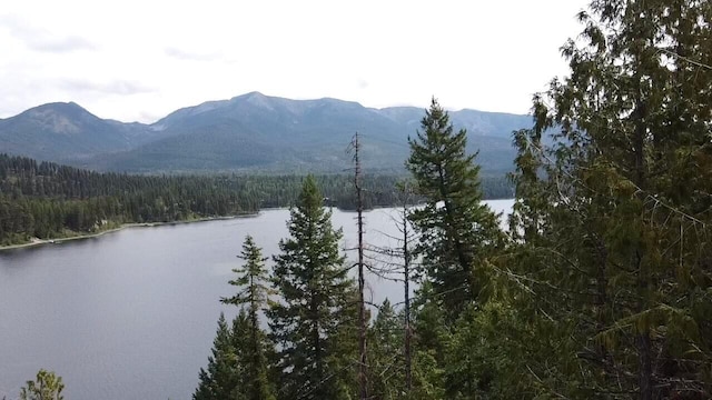 28782 Cedar Bay Ln, Bigfork, MT 59911