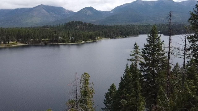 28782 Cedar Bay Ln, Bigfork, MT 59911