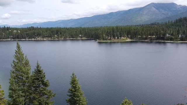 28782 Cedar Bay Ln, Bigfork, MT 59911
