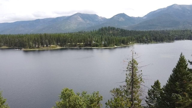 28782 Cedar Bay Ln, Bigfork, MT 59911