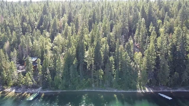 28782 Cedar Bay Ln, Bigfork, MT 59911