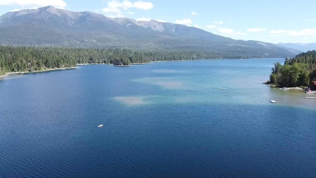 28782 Cedar Bay Ln, Bigfork, MT 59911