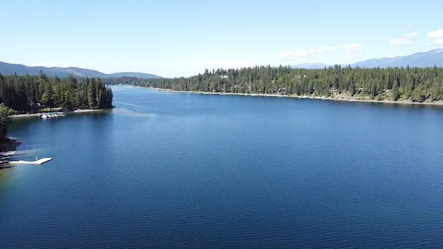 28782 Cedar Bay Ln, Bigfork, MT 59911