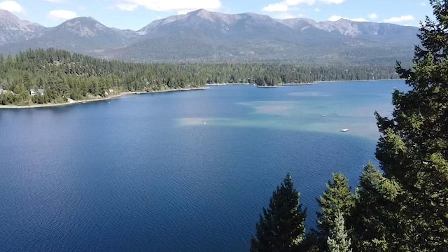 28782 Cedar Bay Ln, Bigfork, MT 59911