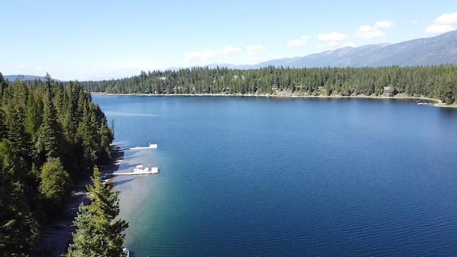 28782 Cedar Bay Ln, Bigfork, MT 59911