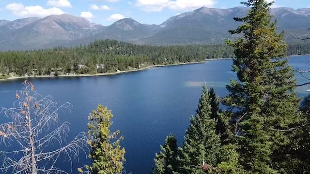 28782 Cedar Bay Ln, Bigfork, MT 59911