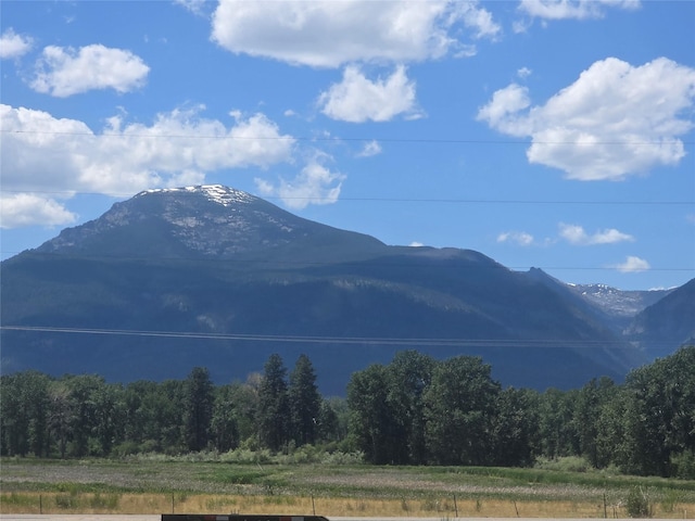 5289 Gabriels Way, Stevensville, MT 59870 - mountain view