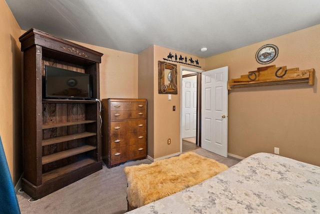 670 Potter Creek Rd, Olney, MT 59927 - bedroom with carpet and baseboards