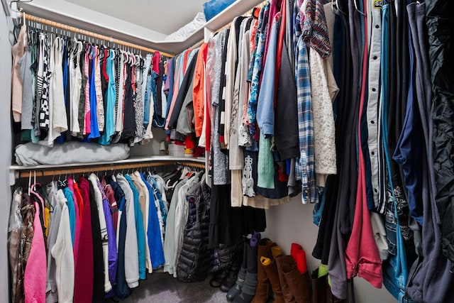 670 Potter Creek Rd, Olney, MT 59927 - walk in closet with carpet flooring