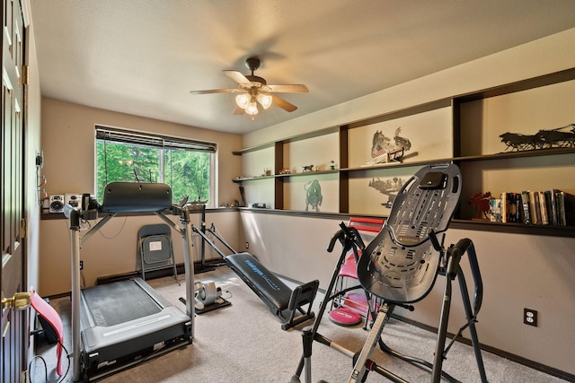 670 Potter Creek Rd, Olney, MT 59927 - exercise room featuring carpet and a ceiling fan