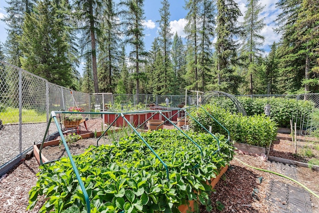 670 Potter Creek Rd, Olney, MT 59927 - view of yard with a garden