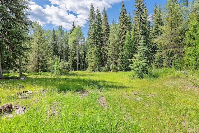670 Potter Creek Rd, Olney, MT 59927 - view of woods