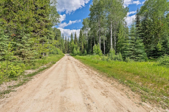 670 Potter Creek Rd, Olney, MT 59927 - view of dirt / gravel road featuring a forest view