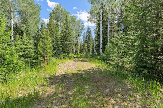 670 Potter Creek Rd, Olney, MT 59927 - view of undeveloped land