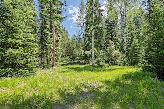 670 Potter Creek Rd, Olney, MT 59927 - view of tree filled area
