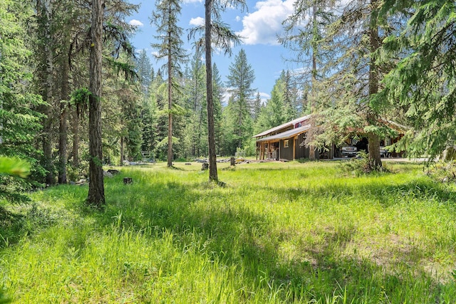 670 Potter Creek Rd, Olney, MT 59927 - view of yard with a forest view