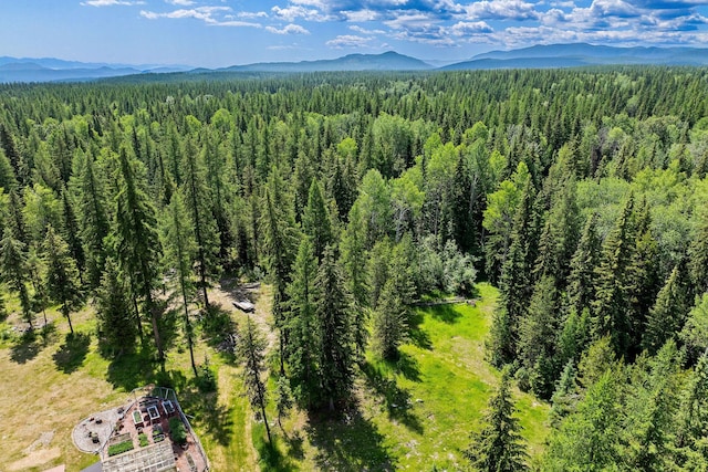 670 Potter Creek Rd, Olney, MT 59927 - bird's eye view of a mountainous background
