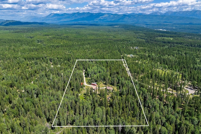 670 Potter Creek Rd, Olney, MT 59927 - aerial overview of property's location with property parcel outlined and a mountainous background