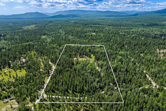 670 Potter Creek Rd, Olney, MT 59927 - aerial overview of property's location with a mountain backdrop and property parcel outlined