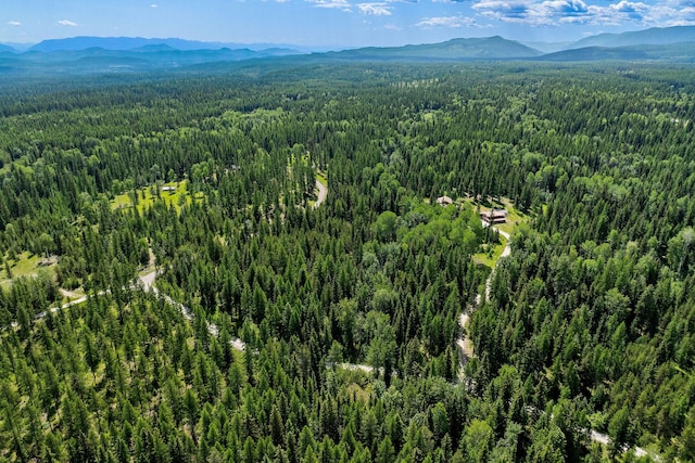 670 Potter Creek Rd, Olney, MT 59927 - bird's eye view of a forest and mountains