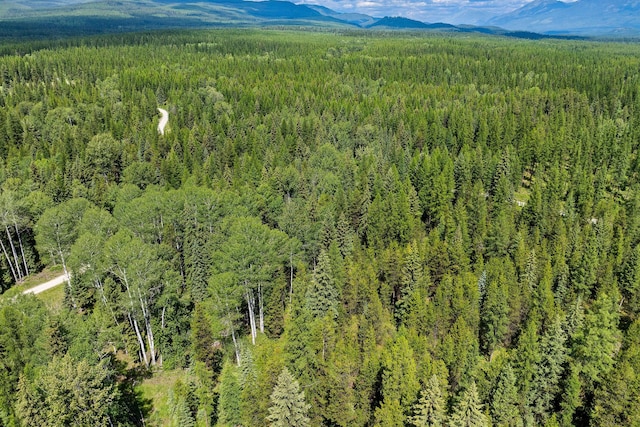 670 Potter Creek Rd, Olney, MT 59927 - aerial view of a forest and a mountainous background