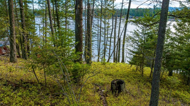 1818 Echo Cabin Loop, Bigfork, MT 59911 - water view featuring a heavily wooded area