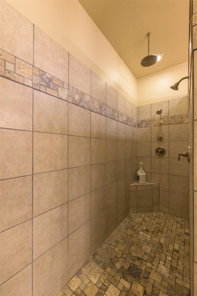 10487 Coulter Pine St, Lolo, MT 59847 - full bath featuring tiled shower