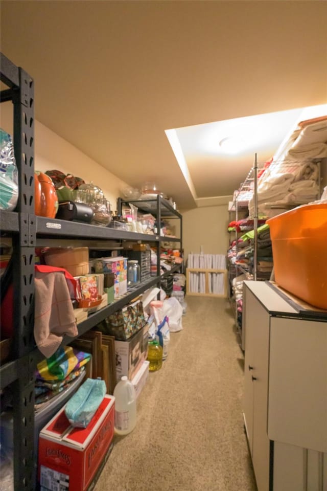 10487 Coulter Pine St, Lolo, MT 59847 - view of storage area