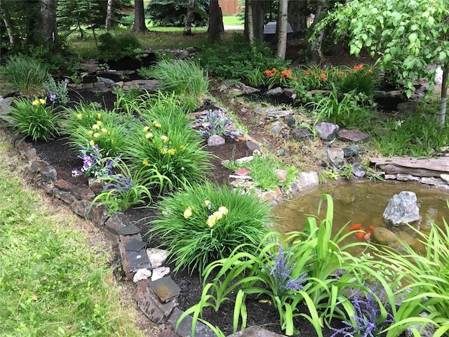 110 Lone Cedar Ln, Columbia Falls, MT 59912 - view of yard featuring a small pond