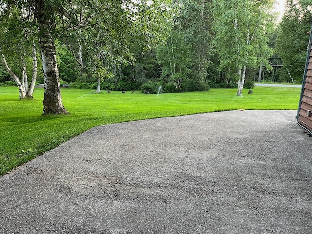 110 Lone Cedar Ln, Columbia Falls, MT 59912 - view of property's community featuring a yard