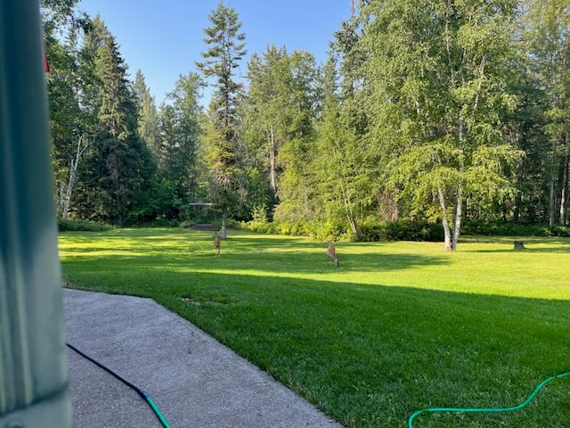 110 Lone Cedar Ln, Columbia Falls, MT 59912 - view of grassy yard