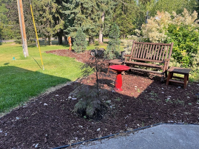 110 Lone Cedar Ln, Columbia Falls, MT 59912 - view of green lawn