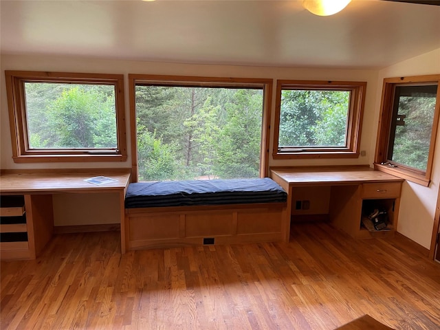22550 Hill Rd, Clinton, MT 59825 - bedroom with light wood-style flooring