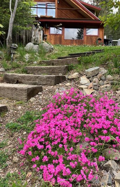 22550 Hill Rd, Clinton, MT 59825 - view of yard