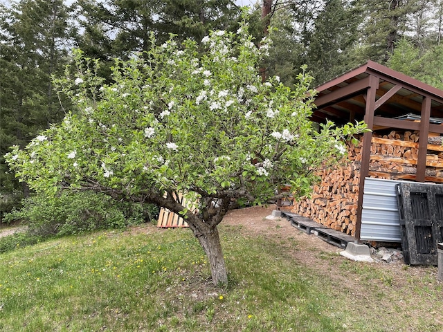 22550 Hill Rd, Clinton, MT 59825 - view of yard