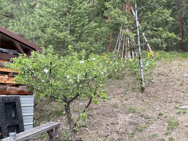 22550 Hill Rd, Clinton, MT 59825 - view of yard with a view of trees