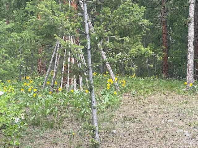 22550 Hill Rd, Clinton, MT 59825 - view of wooded area