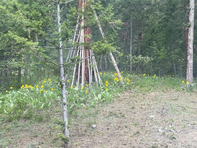22550 Hill Rd, Clinton, MT 59825 - view of tree filled area
