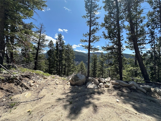 56 Kewanee Lode, Philipsburg, MT 59858